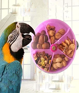 Birds Toys and Food in Tamilnadu